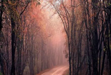 牛八体育：歐預賽貢獻6球8助攻 B費：更關註團隊的表現.