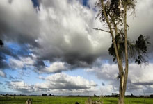 馬競對尤文大名單公布 格列茲曼菲利克斯德保羅領銜.