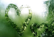 塔迪奇離隊 貝爾溫將任阿賈克斯新隊長！.