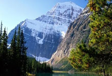 牛八体育：专访｜美国把关税当“武器”终将遭到反噬——访比中经贸委员会主席贝尔纳·德威特.