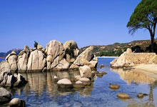 馬競對尤文大名單公布 格列茲曼菲利克斯德保羅領銜.